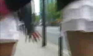 دو فیلم کیرداخل کون گاو ناز یک گاو نر را در الاغ پاره کردند
