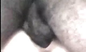 مرد عاشق یک عکس کونتنگ سبزه زیبا در دوربین است