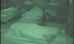 بازی پورنو عكس كس و كون هالووین با پایان دادن به آن