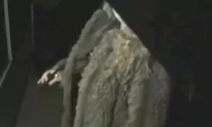 در کمال لذت ، از بدن شکننده زیبایی عکس سکسی کون الکسیس تگزاس نخبه لذت بردم