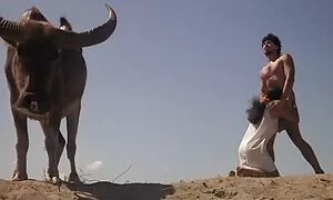 همکاران تصمیم می گیرند در هنگام تعطیلات در دفتر رابطه داشته باشند عکس کون کردن سکسی